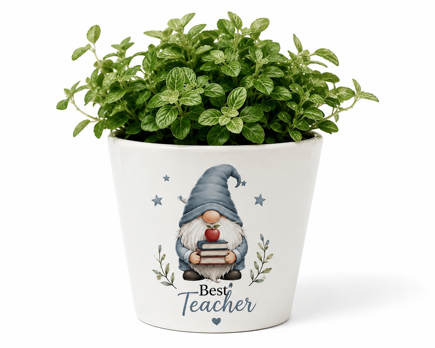 Best Teacher Ceramic Plant Pot
