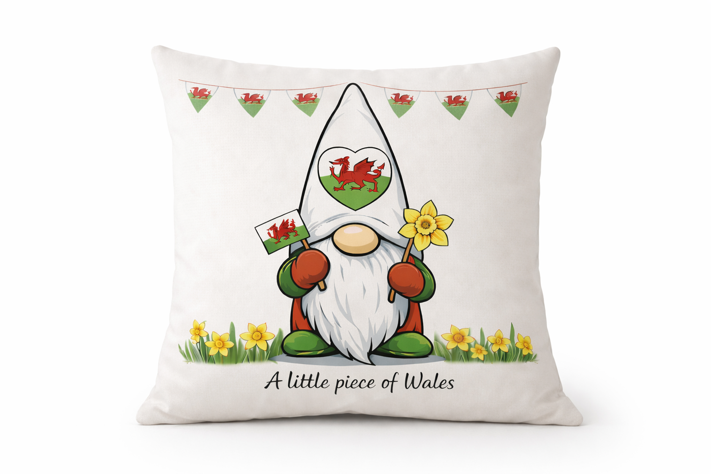 A Little Piece of Wales Cushion – 40 x 40cm